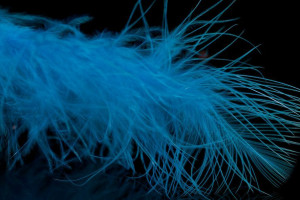 A. Jensen Blood Quill Marabou - blue